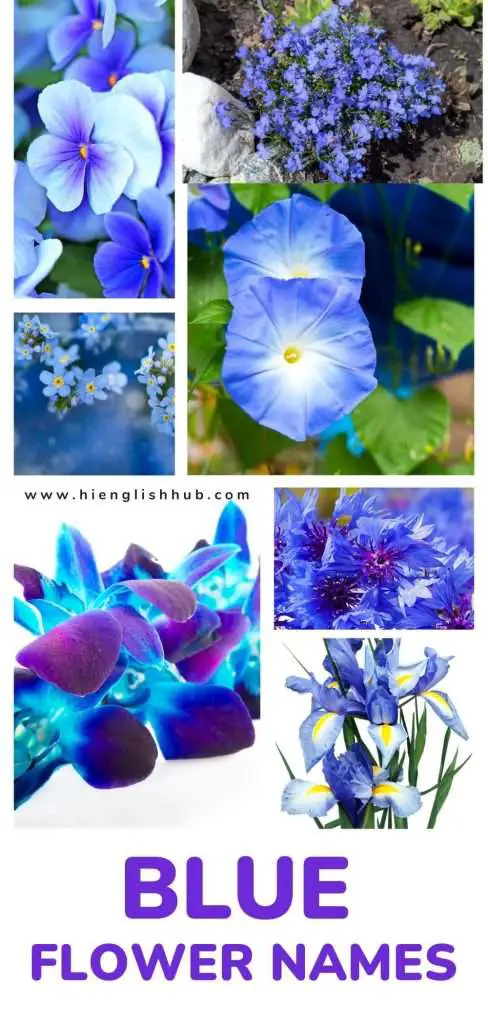 Blue flower names