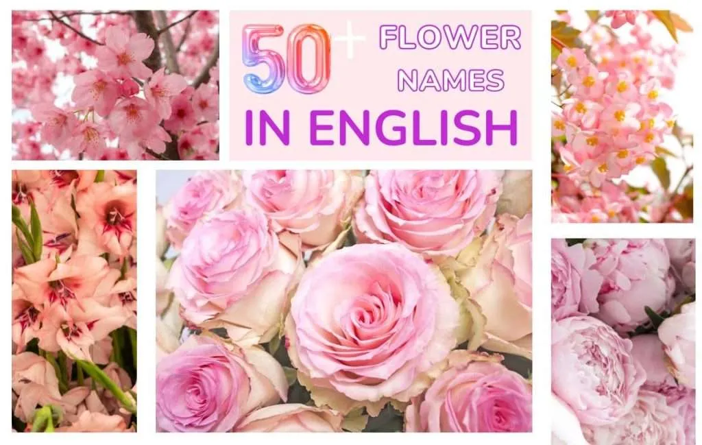 List of flower names in English