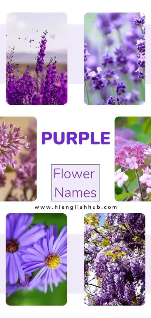 Purple flower names