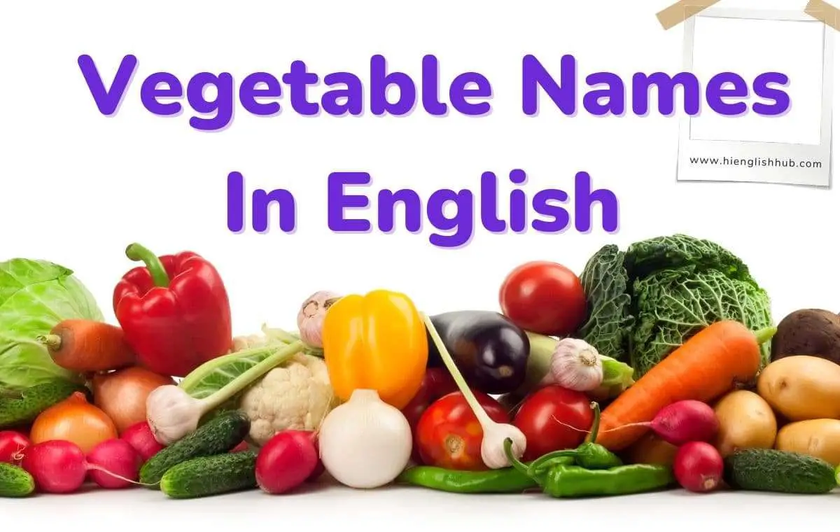 Vegetable names in English with pictures
